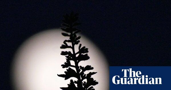 Image for twitter card